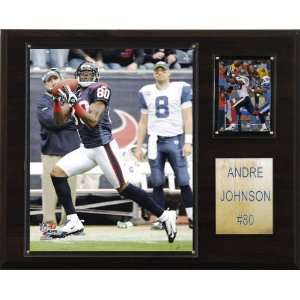  NFL Andre Johnson Houston Texans Player Plaque Sports 