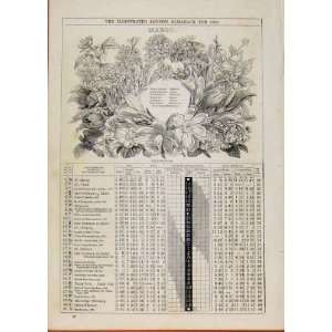 Wild Flowers 1866 Month March Events Diary Old Print 
