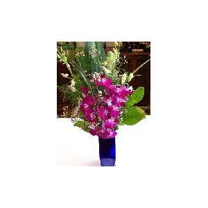 Orchid Bouquet  Grocery & Gourmet Food