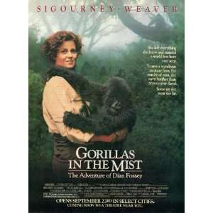  Gorillas in the Mist Poster Movie C (11 x 17 Inches   28cm 