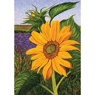 Toland Home Garden Fields of Gold House Flag (28 x 40) 