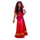 Rubies Costume Co Bollywood Princess Costume