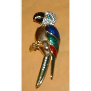   Parrot Brooch /Pin (Getting Old but Still Has Pretty Colored Feathers