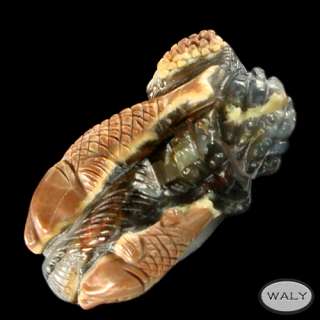 Stunning Carved Mexican Agate Sealife Pendant Bead  