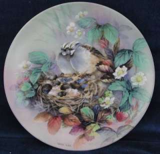 Lena Liu Tender Lullaby White Throated Sparrow Plate  