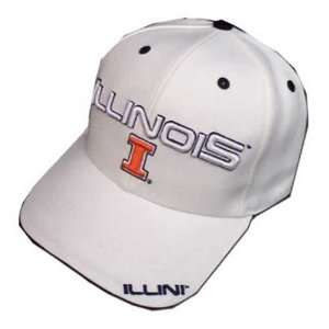  Twins Illinois Fighting Illini White Fusion Hat Sports 