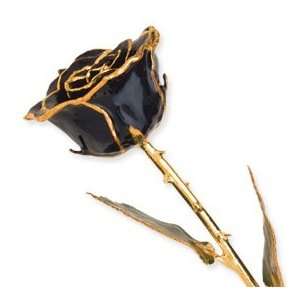  Lacquer Dipped Gold Trim Black Rose Jewelry