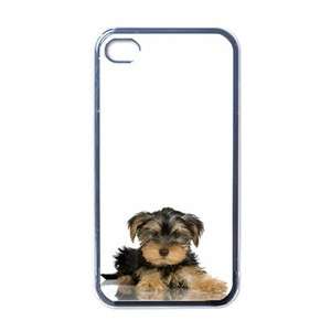 Yorkshire Terrier Yorkie Dog Puppy Puppies #12 Apple iPhone 4 Case 