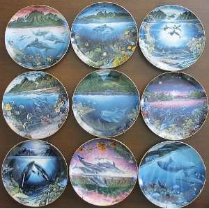   Collector Plates   Underwater Paradise   Set of 9