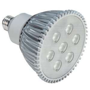   LED PAR38 Lamp in Silver Beam Angle 25°, Color Temperature 3200K