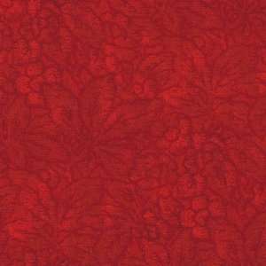   quilt fabric by Jinny Beyer for RJR 6740 003 Arts, Crafts & Sewing