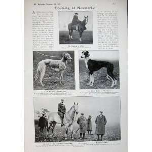  1905 Hare Coursing Newmarket Hounds Horses Hunting