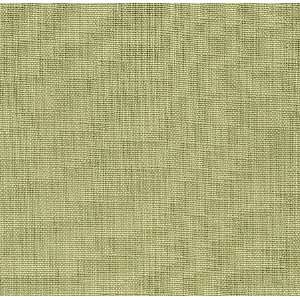  2505 Banbridge in Citron by Pindler Fabric