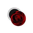   75 Inch Magnet of Beautiful Dark Red Rose (Perfect Rose, Flowers
