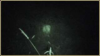DVD Paranormal Ghost Private Haunted Cemetery Research  