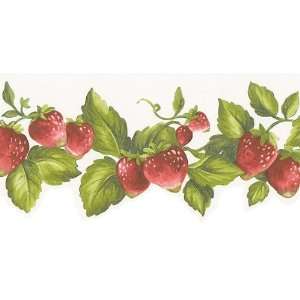  Strawberry Wallpaper Border Scalloped