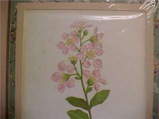 1870 M&N HANHART LAGERSTROMIA INDICA PRINT L@@K  