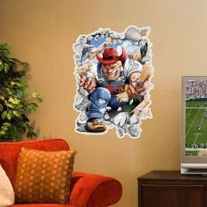  NCAA Nebraska Cornhuskers 3 Mascot Wall Crasher