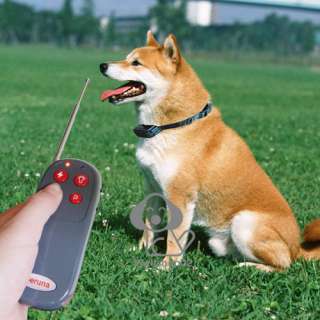 New 4in1 Remote Control Pet Dog Training No Bark Collar  