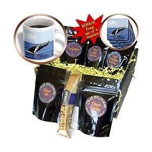 Kike Calvo Whales n Dolphins   Humpback Whale   Coffee Gift Baskets 