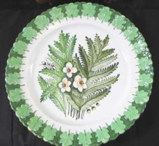 Walter Hatches Plates Handmade Italy Mojelica FERNS  