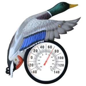  Companys Coming TMT 036 Duck Thermometer