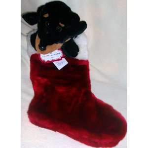   Holiday, Santa Sock, Plush Puppy Dog, Decorative 