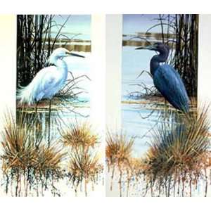  Luke Buck   Snow Egret And Little Blue Heron Artists 