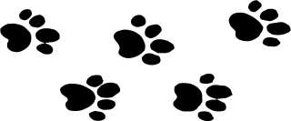 Cat Cougar Panther Tracks Print Decals 3.75x9 choose color  