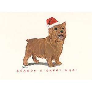  Norwich Terrier in Santa Hat Boxed Christmas Notecards 