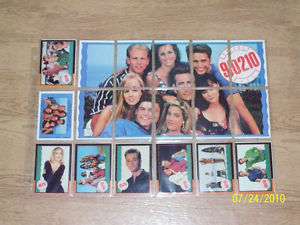 90210 COLLECTOR CARDS, 80 CARDS IN SLEEVES~~~  