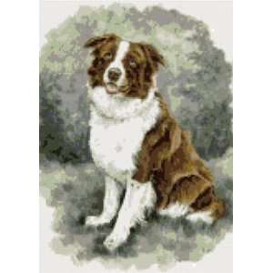  Border Collie Brown Dog Counted Cross Stitch Kit 