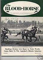 Blood Horse Bold Reason Mill Reef Turkish Trousers  
