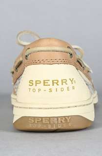 Sperry Topsider The Angelfish Shoe in Leopard Linen  Karmaloop 