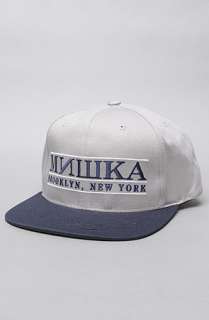 Mishka The Toga Party Snapback Hat in Grey  Karmaloop   Global 