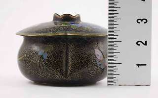 ANTIQUE CHINESE CLOISONNE ENAMEL BUTTERFLY COVERED JAR  