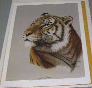Rigsby Harold Bengal Tiger LSU so  