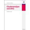 Regressionsanalyse mit SPSS  Christian F.G. Schendera 