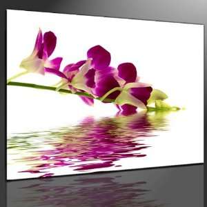Keilrahmenbild Orchidee ( Blumenbild )   fertig gerahmt auf Keilrahmen 