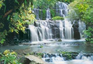Poster Pura Kaunui Fall Wasserfall im Dschungel Regenwald Wasserfälle 