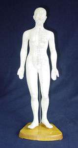 Female Acupuncture Body Model Meridian 48cm Acupoints  