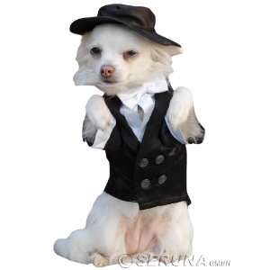 Anzug Hochzeit Hund Hundeanzug Hochzeitsanzug Bekleidung für Hunde 