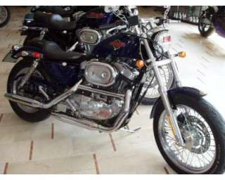 Harley Davidson Sportster 1200 a Varese    Annunci