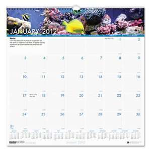  House of Doolittle Sea Life Monthly Wall Calendar HOD3641 