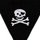 pirate jolly roger cotton bunting by the cotton bunting company 