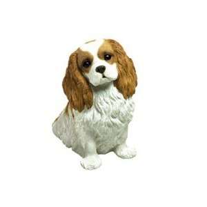 sandicast cavalier king charles spaniel