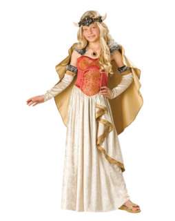 Girls Deluxe Viking Princess Costume  Girls International Halloween 