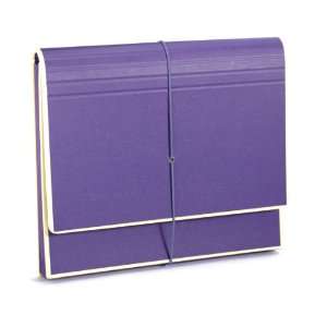  Semikolon A4 12 Pocket Accordion File, Letter Size, Plum 