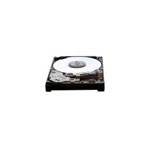 Apricorn Mass Storage 4200 RPM 40 GB Hard Drive (Drive Only) for DELL 