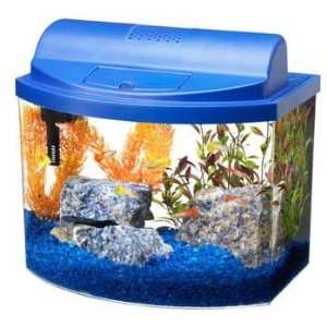   Bow Desktop Aquarium Kit Size 5 Gallon, Color Blue